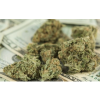 In Illinois, Marijuana Businesses (Unlike other Industries) are not Allowed to Make Campaign Contributions
