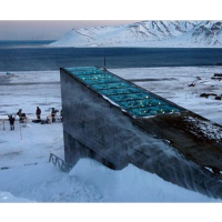 Doomsday Seed Vault to Distribute Seeds for First Time…Because of Disruption Caused by War in Syria