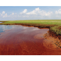 Most of $20.8 Billion BP Penalty Is Tax Deductible as a Cost of Doing Business