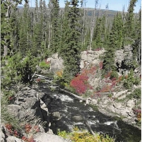 Oil Company Sues to Regain Drilling Rights in National Forest