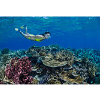 Chemical in U.S. Sunscreen Products Found to Be Lethal to Coral