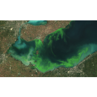 U.S. and Canada Call for 40% Cut in Farms’ Phosphorous Contaminating Lake Erie