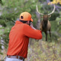 One Third of Americans Own Guns, but Only 4% Go Hunting