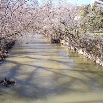 Trout Creek Polluted by “Toilet Flush Every 14 Seconds for 9 Years”