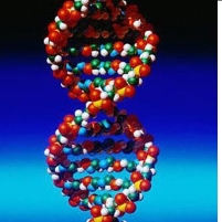Obama Justice Department to Review Bush Policy Opposing Post-Conviction DNA Testing