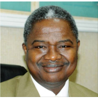 Mali’s Ambassador to the United States: Who Is Tiéna Coulibaly?