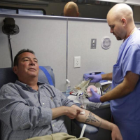 Troubles in the Blood Industry
