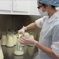 Breast Milk for Sale versus Breast Milk Banks