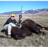 Bison vs. Cattle Ranchers in Yellowstone