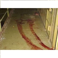 Obama Orders End to Torture and Secret Prisons