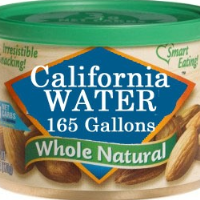 International Boom in Demand for California Almonds Threatens Water Supply in Times of Drought