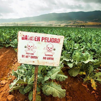 EPA Finally Moves to Protect Child Workers from Pesticides