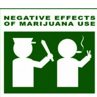 3-Day Hearing in Federal Court Challenges Putting Marijuana in the Same Drug Classification as Heroin