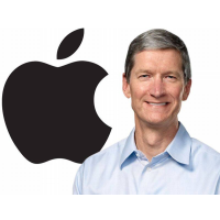 Are Apple Executives being Unpatriotic when they Avoid $9.2 Billion in Taxes?