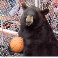 Interior Department Challenges White House…to a Basketball Game