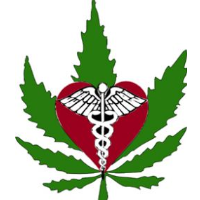 No Connection between Medical Marijuana and Increase in Crime