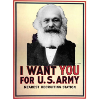 Is the U.S. Military Socialist?