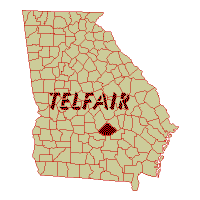 This is the Poorest County in the U.S.: Telfair County, Georgia