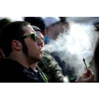 Oregon Court Rules Smell of Marijuana is not Inherently Offensive