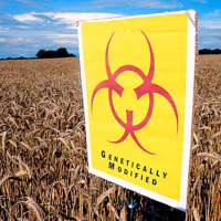 Vermont First State to Require Labeling of Genetically Engineered Foods