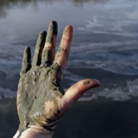 Duke Energy Amnesty and Reduced Fine for N. Carolina Coal Ash Pollution Trigger Outrage