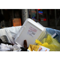 Can Styrofoam Food Containers Really be Recycled? New York Judge Rules Yes