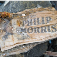 Global Warming in Alaska Reveals Remains of 1952 Air Force Crash