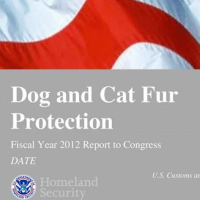 Congress Votes Unanimously to Eliminate Annual Report about Reports