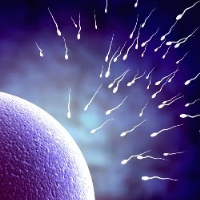 Chemicals in Sunscreen, Toothpaste and Toys Found to Damage Human Sperm and Prevent Fertilization