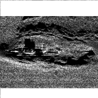 Yet Another Victim of the BP Oil Spill: Historic Shipwrecks