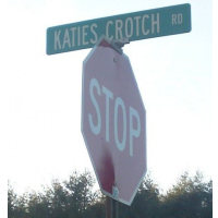 Maine Town Considers Renaming Katie Crotch Road after Repeated Thefts of Street Signs