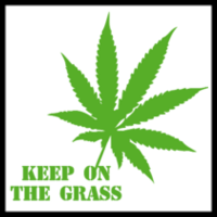 Higher Education: California University Launches First Academic Marijuana Research Institute