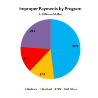 U.S. Paid $125 Billion to Ineligible Recipients, a Jump of 18% in One Year