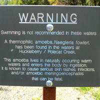 Brain-Eating Amoeba Found in Louisiana Drinking Water