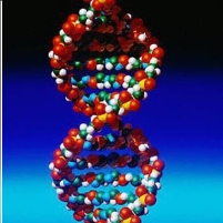 Prosecutors Fight DNA Testing