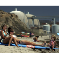 Edison and Mitsubishi Implicated in Radioactive Leak at Nuclear Power Plant