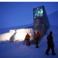 Doomsday Seed Vault Adds Tree Seeds for First Time