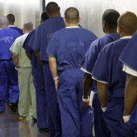 Non-White Prisoners are more Profitable for Private Prisons