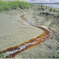 Groups Sue Department of Interior over New Mining Rules