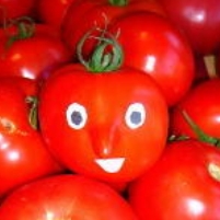 Climate Change Helps Growers of Cotton, Beans and Tomatoes