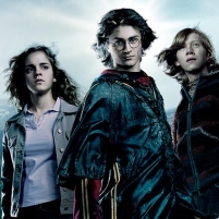 71% of Characters in Children’s Films are Male