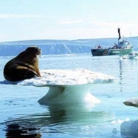 Melting Arctic Opens Profit Opportunities for Oil, Gold, Tourism