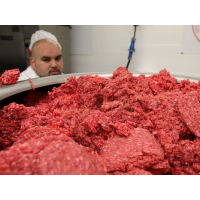 Mislabeled U.S. Meat Found to Contain Different Animal Species, Including Horse