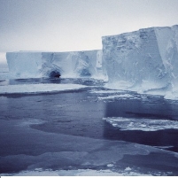 Iceberg the Size of Luxembourg Could Threaten Marine Life
