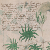Mysterious Voynich Manuscript Now Online Clearly…Good Luck Deciphering