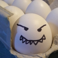 Prior to Massive Egg Recall, FDA Refused to Mandate Vaccinating Hens