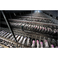 U.S. Uses 40 Tons of Antibiotics a Day Just to Grow Food