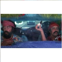 Medical Marijuana Reduces Traffic Deaths