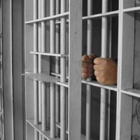 Increased Penalties for Drug Offenses have no Impact on National Drug Use