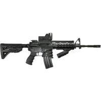 Is the AR-15 becoming the Weapon of Choice for Deranged, Young Male Mass Murderers?